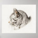 Search for vintage cat posters Kitten