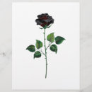 Search for botany flyers Rose