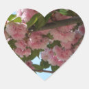 Search for cherry tree stickers Pink