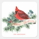Search for pretty cardinal stickers Festive