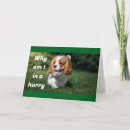 Search for veterinarian christmas cards Friend