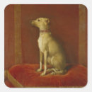 Search for greyhound stickers Whippet