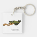 Search for prehistoric key rings Paleontology