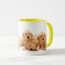 Search for golden retriever puppy mugs Pet