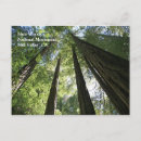 Search for national monument postcards Redwood