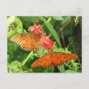 Search for duo postcards Nature