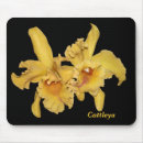 Search for black orchid mousepads For her