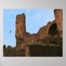 Search for seagull flying posters Travel