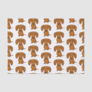 Search for dachshund tissue paper Dog