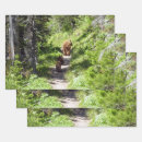 Search for yellowstone wrapping paper Buffalo