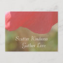 Search for scatter postcards Pink