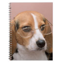 Search for active notebooks Humour