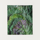 Search for cabbage art Plant