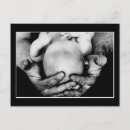 Search for birth day postcards Newborn