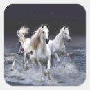 Search for run stickers Animals