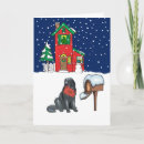 Search for newfoundland christmas cards Winter