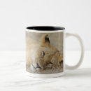 Search for lion cub mugs Animals in the wild
