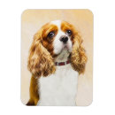 Search for blenheim magnets Dog