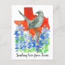 Search for mockingbird postcards Texas state bird