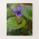 Search for ladybug puzzles Beetle