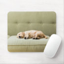 Search for sleeping baby electronics Domestic animals