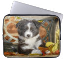 Search for aussie cases Cute