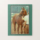 Search for horse racing puzzles Racehorse
