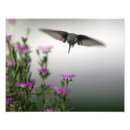 Search for hovering posters Wings