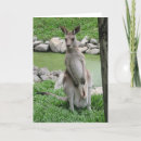 Search for australia cards Kangaroo