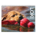 Search for blank calendars Cute