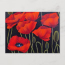 Search for red poppies postcards Plants