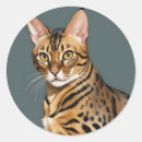 Search for spotted cats stickers Animal