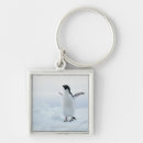 Search for penguin key rings Animal