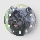 Search for cairn posters Brindle