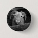 Search for farm animal badges Sheep