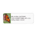 Search for butterfly wings return address labels Wildlife