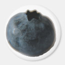 Search for spaceship magnets Blue