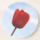 Search for tulip barware Blue