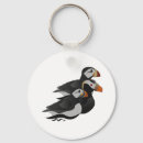 Search for friendly key rings Bird