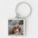 Search for small monkey key rings Wildlife