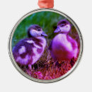 Search for goose christmas tree decorations Duck