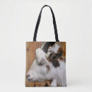 Search for goats bags Photography
