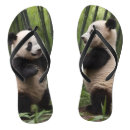 Search for panda jandals Bamboo