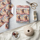 Search for bra wrapping paper Lingerie