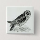 Search for owl drawing badges Nature