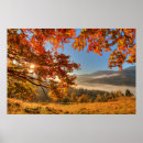 Search for mountain forest posters Landscape