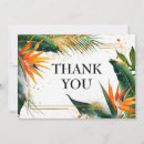 Search for bird paradise cards Birds of paradise