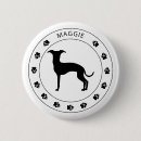 Search for greyhound badges Iggy