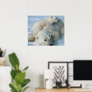 Search for wildlife lover posters Bears