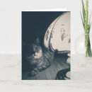 Search for noir cards Cat